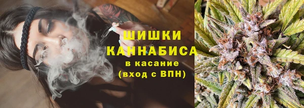 PSILOCYBIN Саяногорск