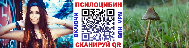 Псилоцибиновые грибы ЛСД  Купить где  Цоци-Юрт 